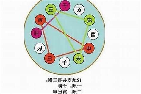 八字 地支